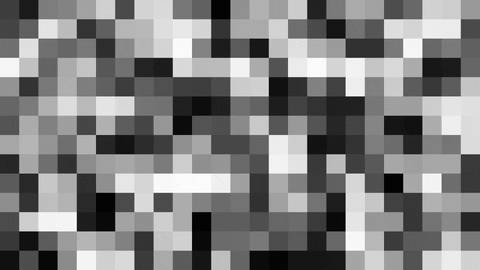 Forbidden Error Image